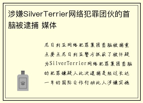 涉嫌SilverTerrier网络犯罪团伙的首脑被逮捕 媒体
